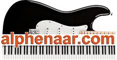 gitaar-kopen-alphenaar